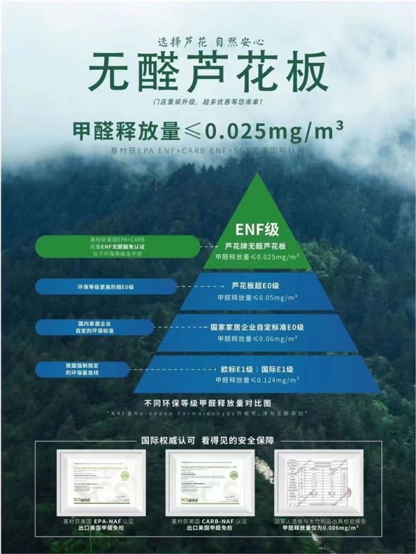 ��ENF��«����